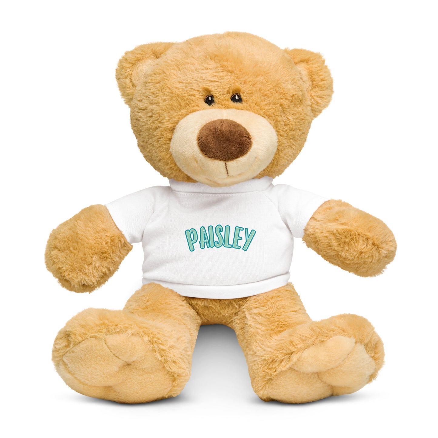 Plush personalized teddy bear with name on t-shirt.