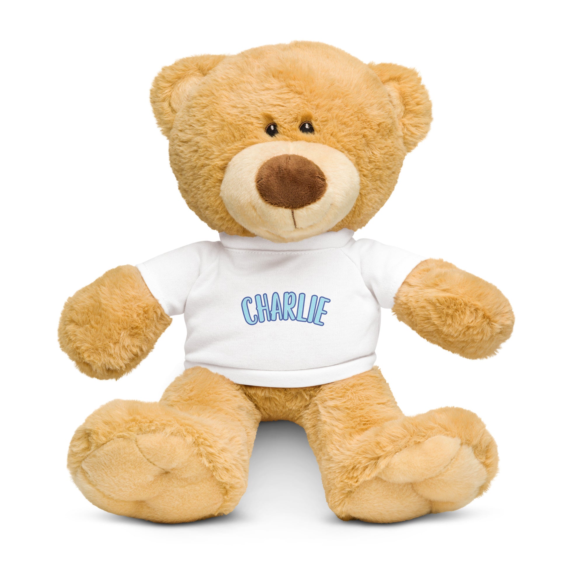 personalized teddy bear wearing a t-shirt with name on it.